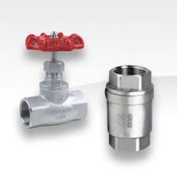 STAINLESS STEEL BALL GATE, GLOBE AND CHECK VALVES